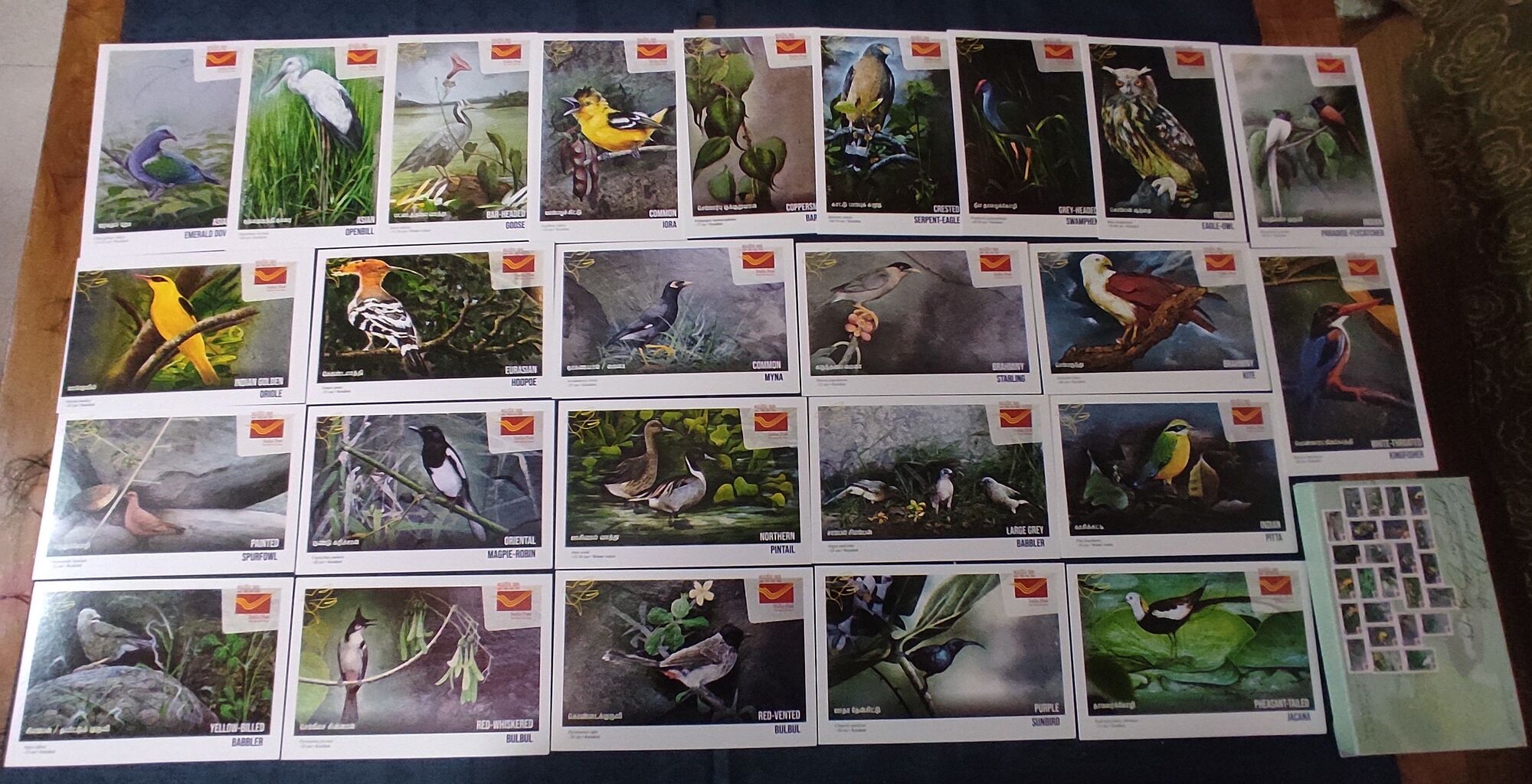 India 2025 Birds Natural Wonders of Tamilnadu 25 Diff. Picture Post Cards Mint # 9260